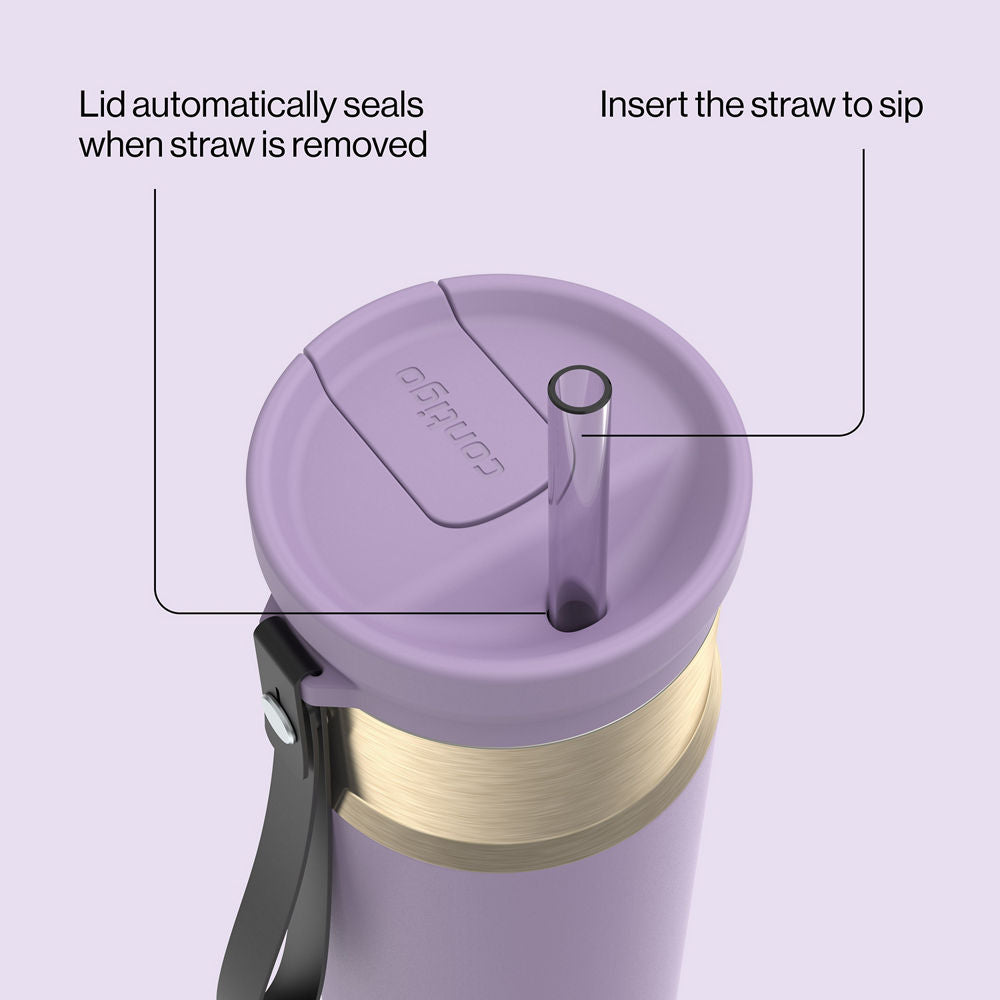 24oz-snapsealtm-bottle-t3 bevt0009_contigo_2231080_snapseal_24oz_straw_purplecarrot_atf4
